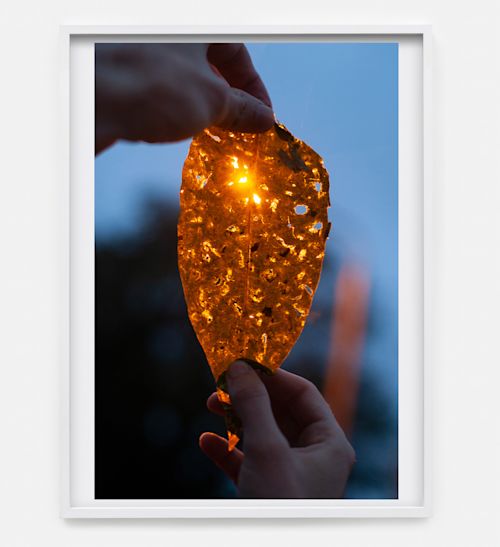 Paul Hutchinson
glare, 2020
Inkjet print
15.75 x 11.81 inches
40 x 30 cm
Framed Dimensions: 16.1 x 12.17 inches
40.9 x 30.9 cm
Edition 1 of 8, with 2 AP