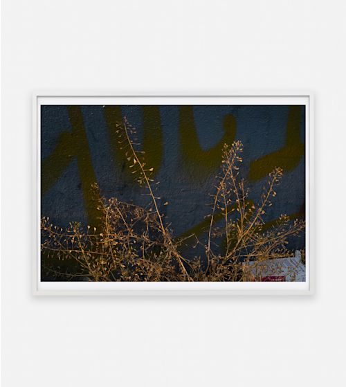 Paul Hutchinson
hues, 2023
Inkjet print
19.69 x 27.56 inches
50 x 70 cm
Framed Dimensions: 20.16 x 28.03 inches
51.2 x 71.2 cm
Edition 1 of 5, with 2 AP