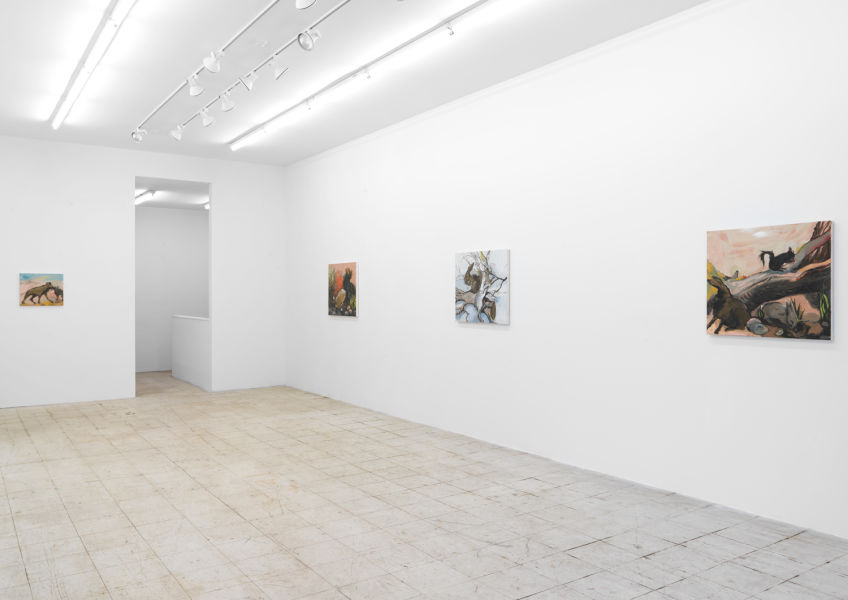 Installation view, Ma Paw, April 15-May 20, 2018