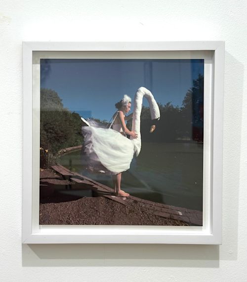 Erika deVries
Untitled (Swan), 2001
Archival pigment print
12 x 12 x 1.25 inches
30.5 x 30.5 x 3.2 cm
Edition 1 of 6