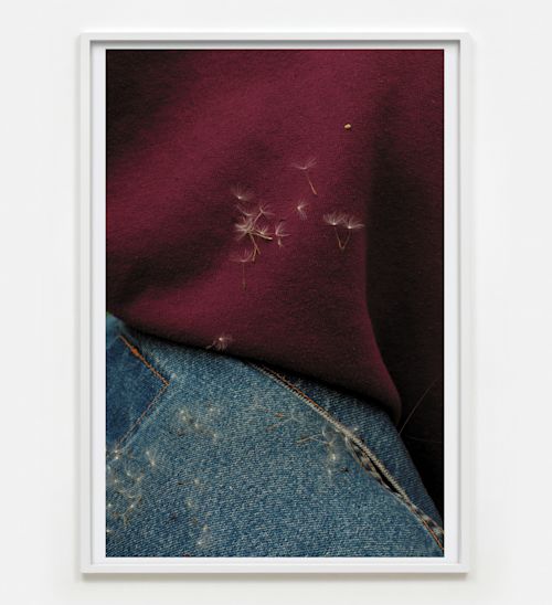 Paul Hutchinson
affection, 2021
Inkjet print
27.56 x 19.69 inches
70 x 50 cm
Framed Dimensions: 28.03 x 20.16 inches
71.2 x 51.2 cm
Edition 2 of 5, with 2 AP