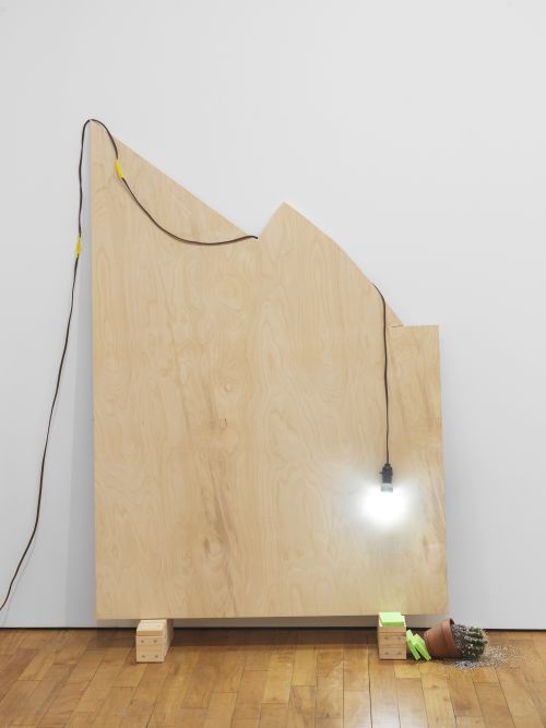 Phoebe Washburn
Painting by Sebastijan, 2024
Plywood, cactus, sponges, light, extension cord
Dimensions vary