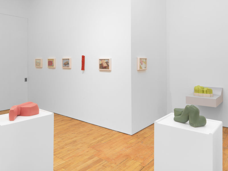 Installation View, Ellie Krakow "Linoleum Spine"