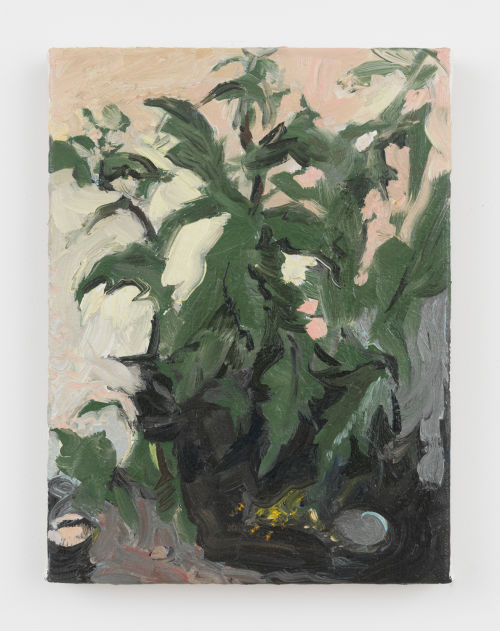 Jane Corrigan
Vervain, 2018
Oil on canvas
12 x 9 inches
30.5 x 22.9 cm