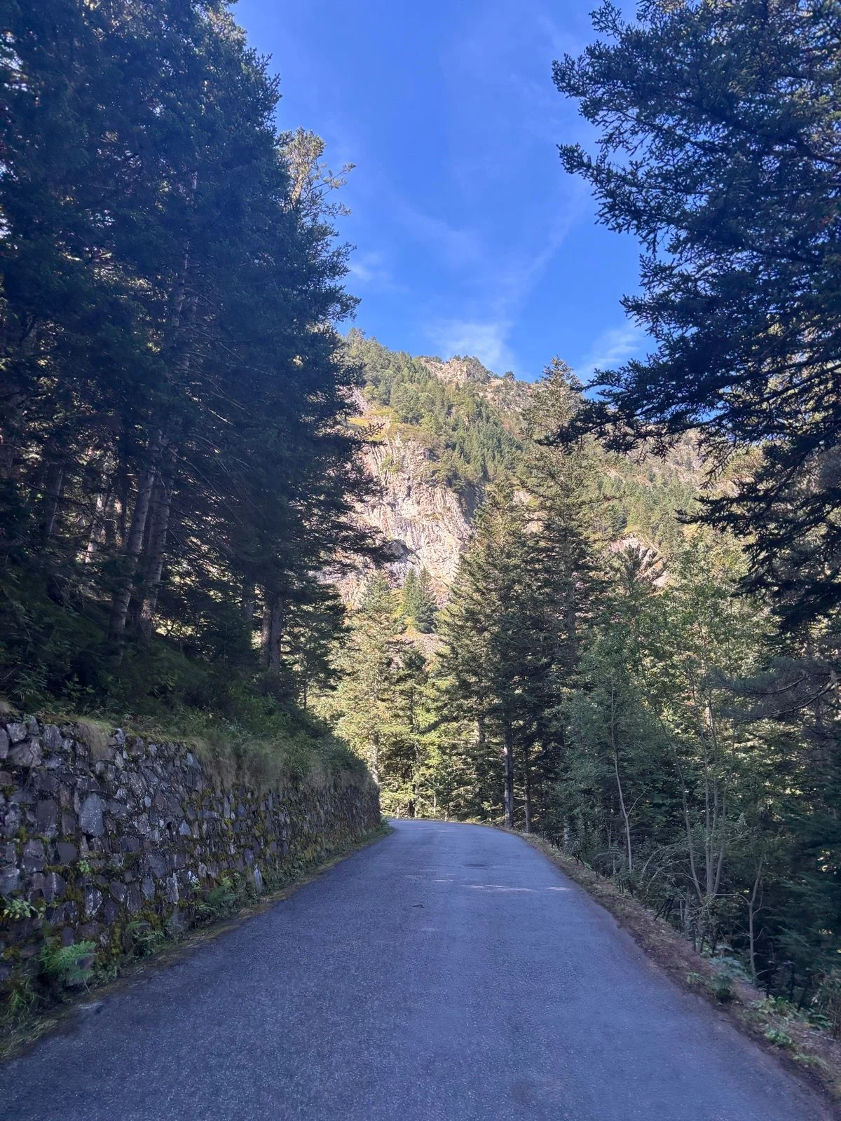 route-des-lacs_3.jpg
