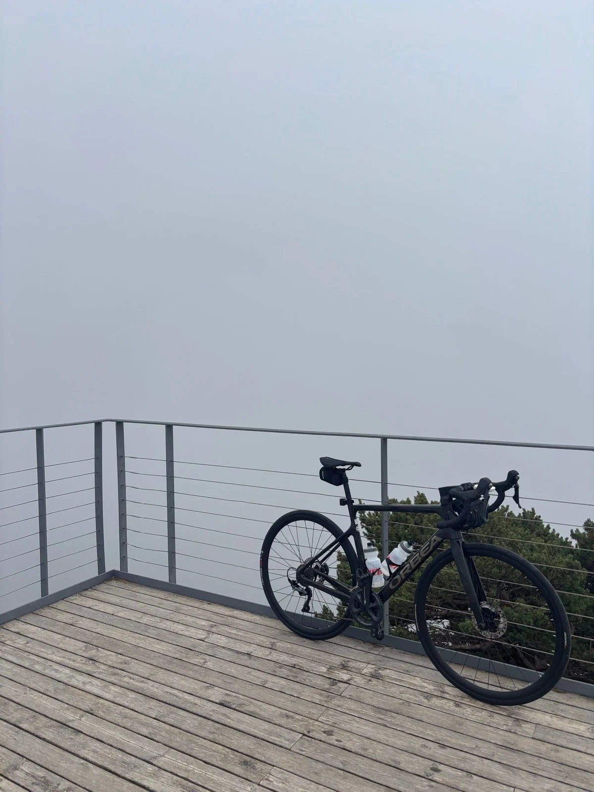 mont-caro_3.jpg