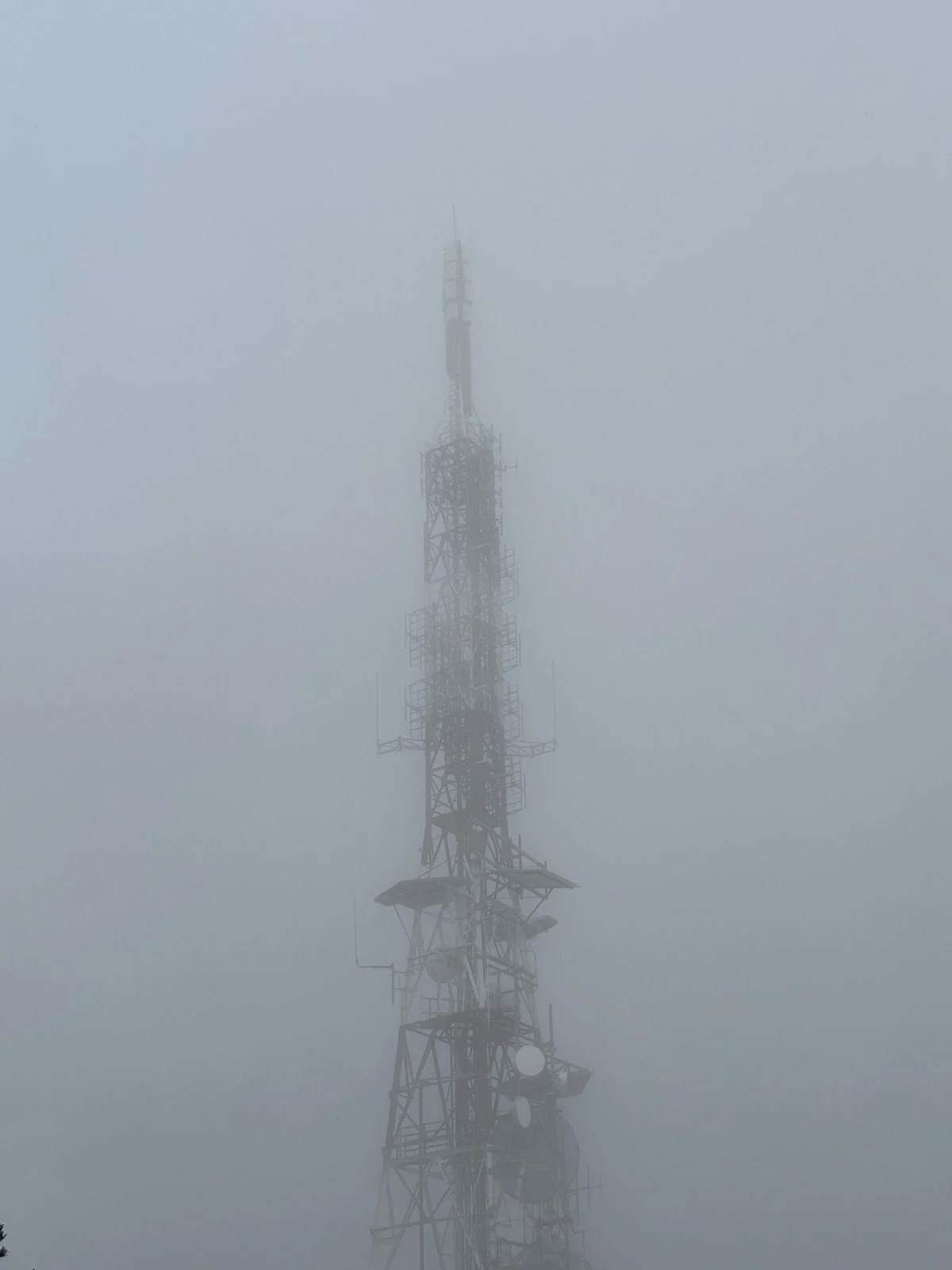 mont-caro_4.jpg