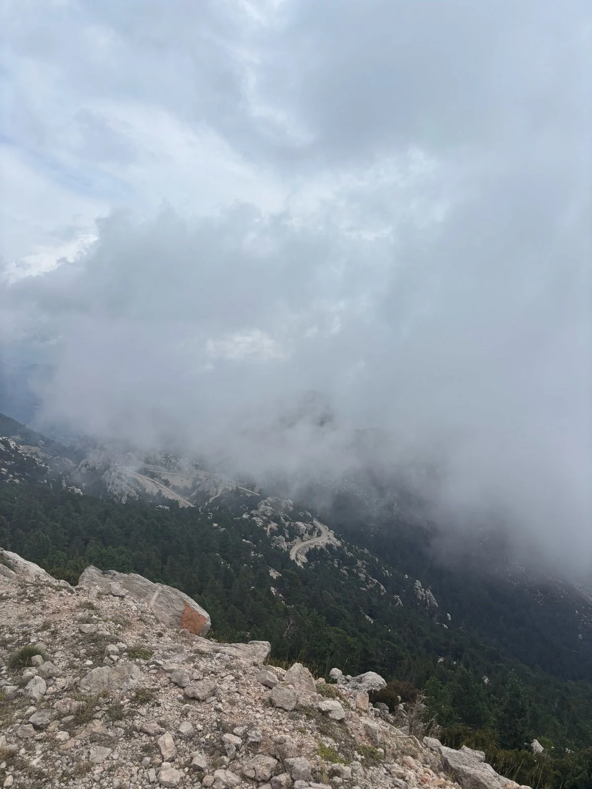 mont-caro_5.jpg