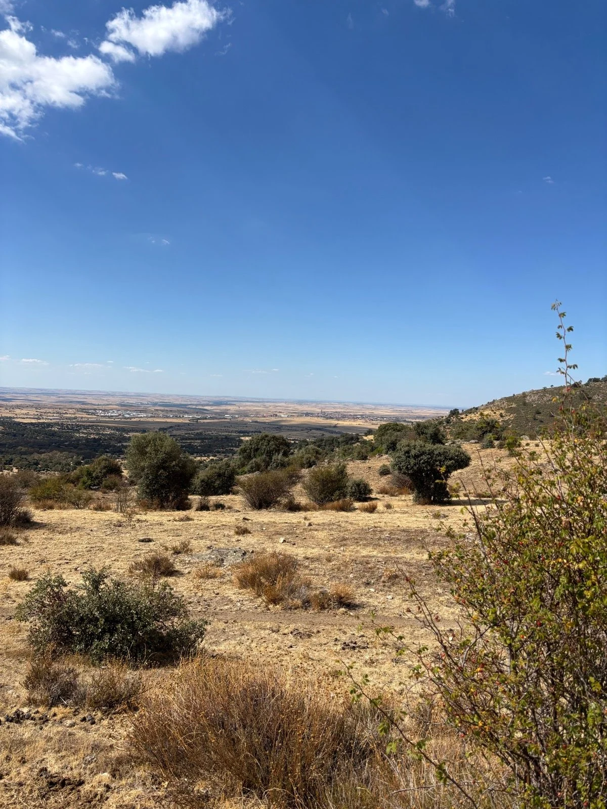 mad-segovia-gravel_5.jpg