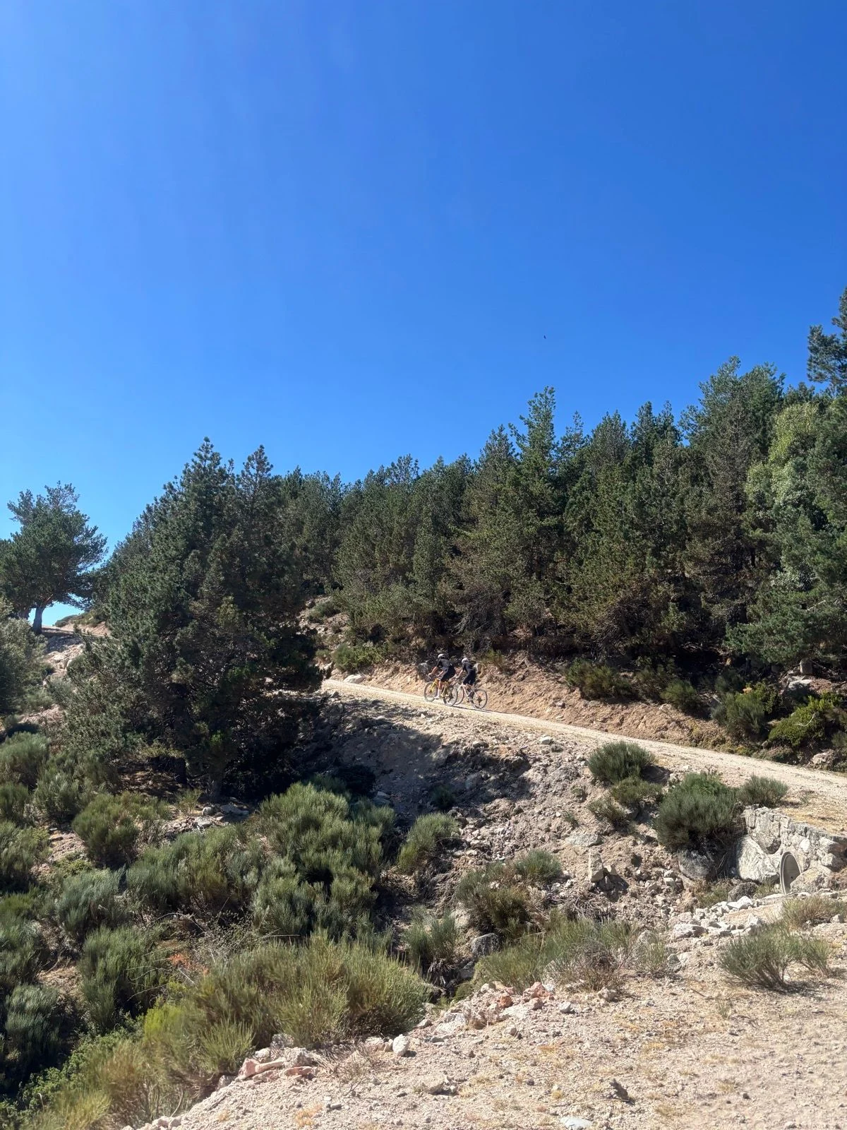 zetas-de-la-pedriza_2.jpg
