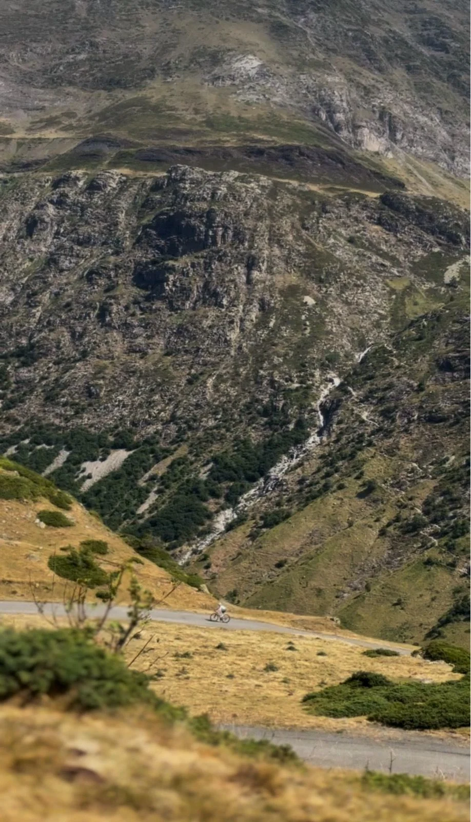 pirinomads-2_7.jpg