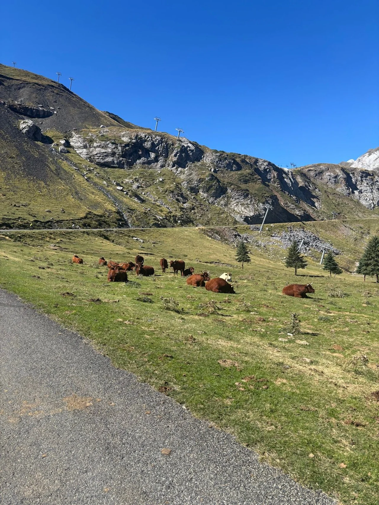 Coll de Tentes