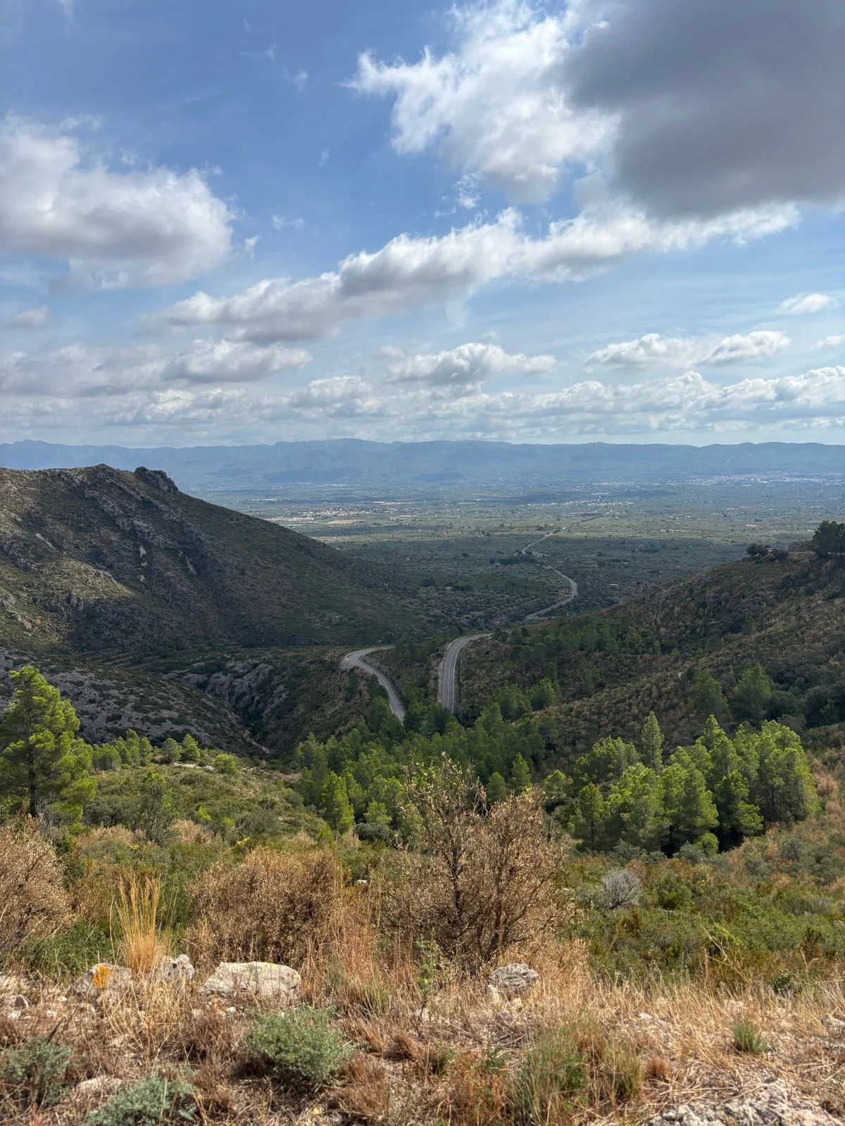 mont-caro_1.jpg