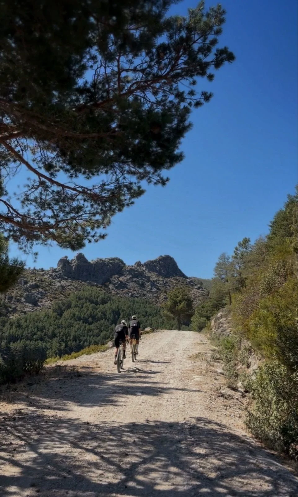 zetas-de-la-pedriza_9.jpg