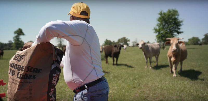 Fred Newhouse Feeding Cattle