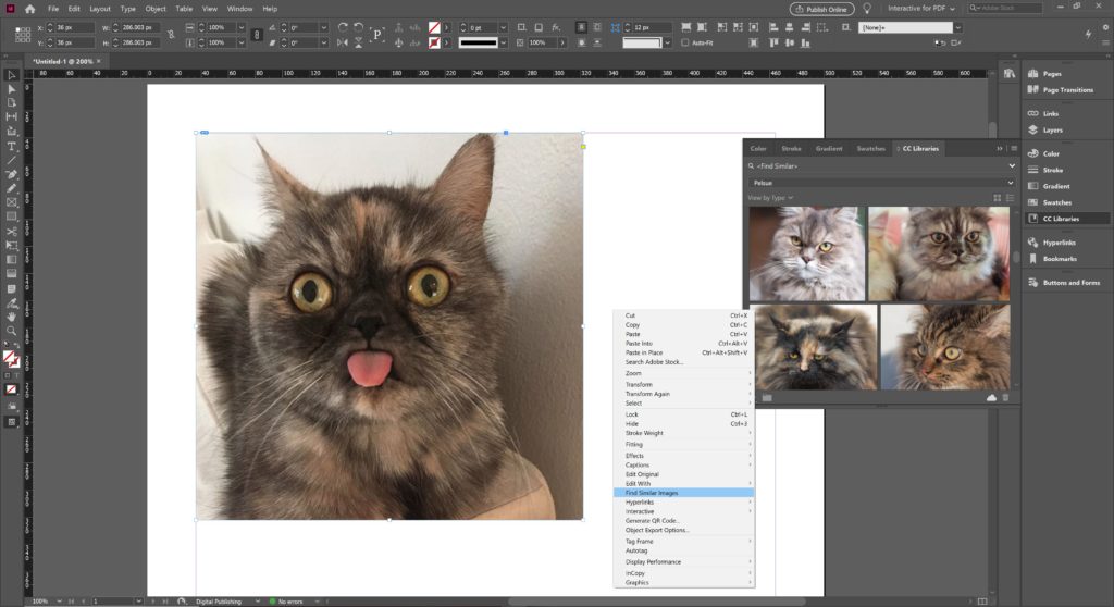 InDesign Similar Images Tool