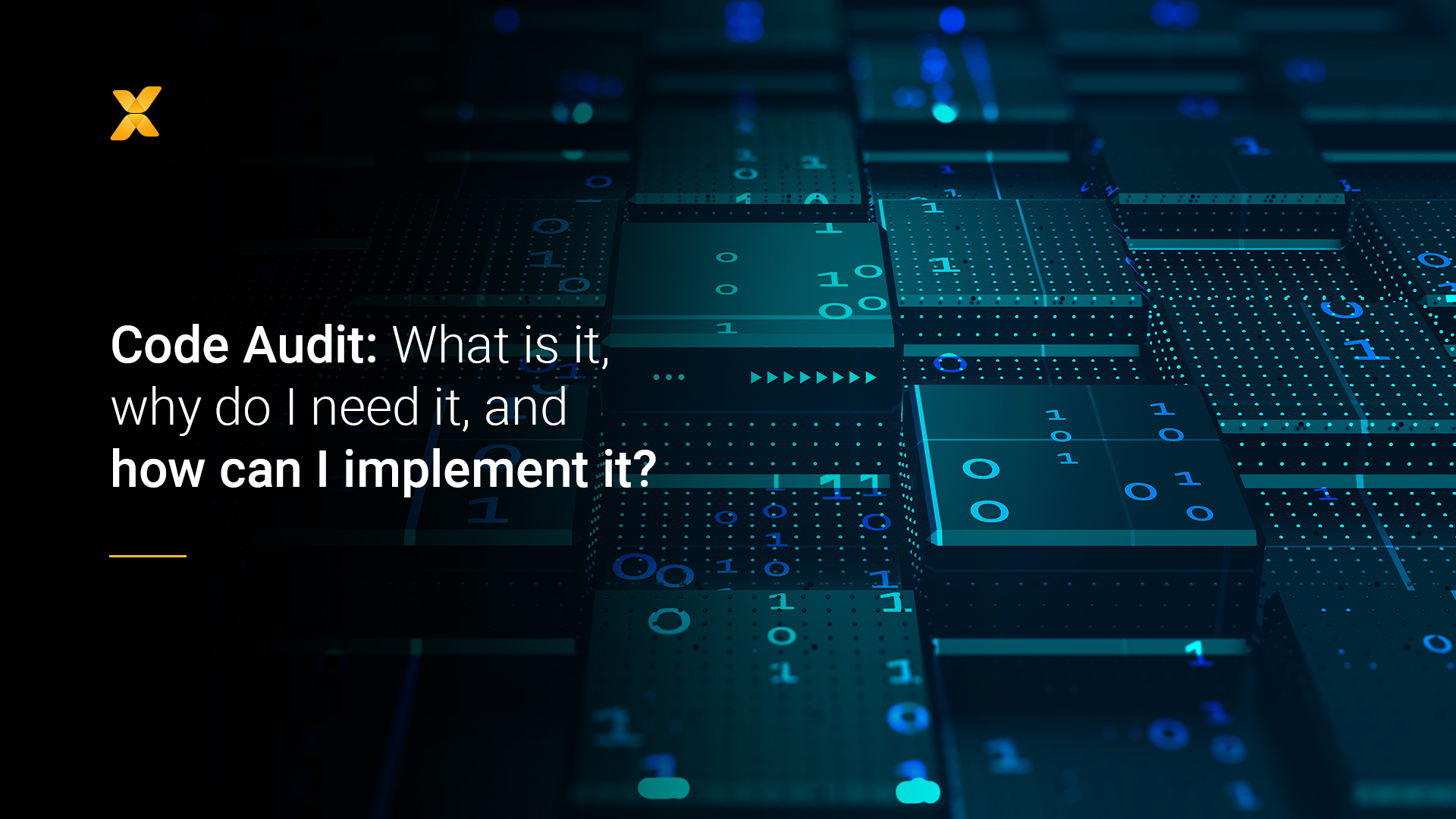 Code Security Auditing Code Audit: What is it, why do I need it, and how can I implement it?