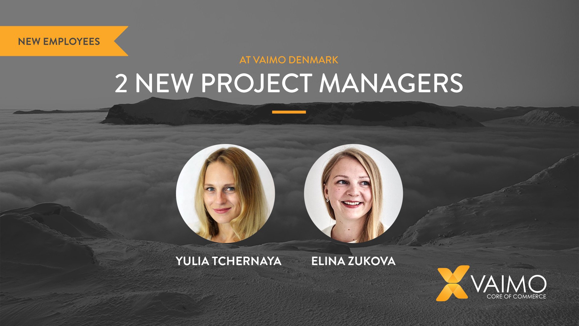 Introducing New Project Managers at Vaimo Denmark