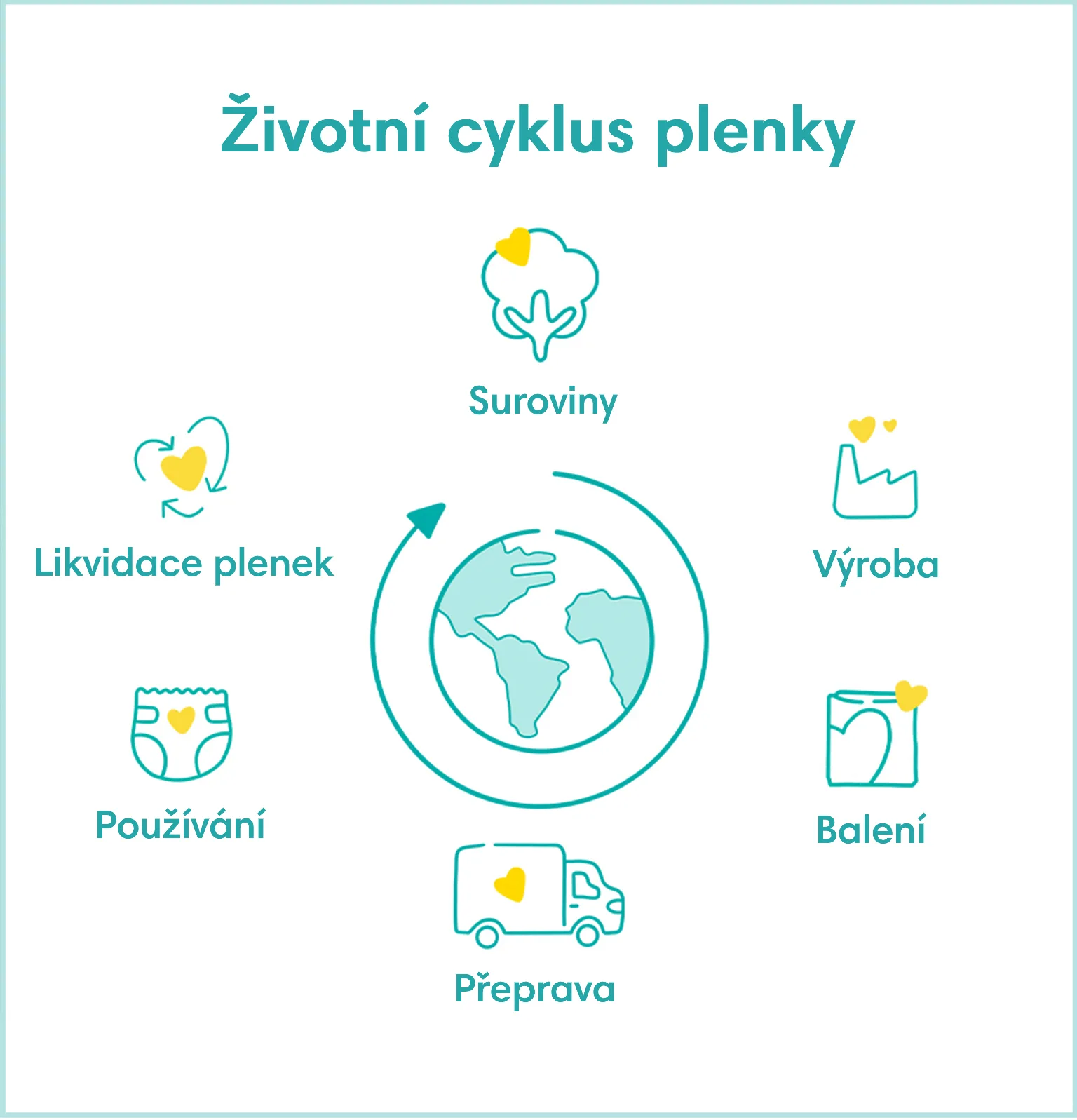 Životní cyklus plenky