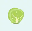 Brussels sprout icon