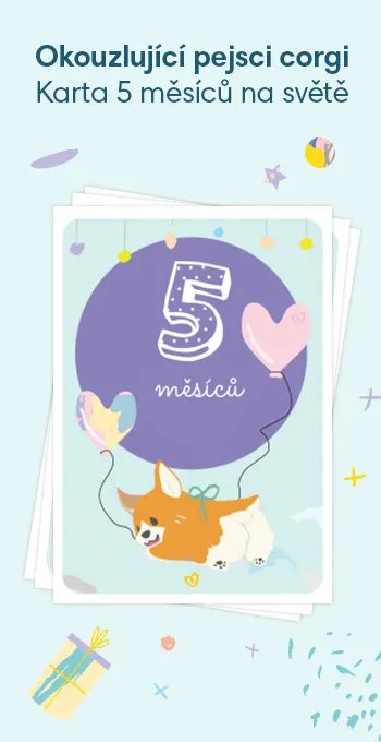 Tištěné karty na oslavu 5 měsíců od narození vašeho děťátka. Zdobí je veselé motivy, včetně okouzlujícího pejska corgi a nápisu: 5 měsíců na světě!