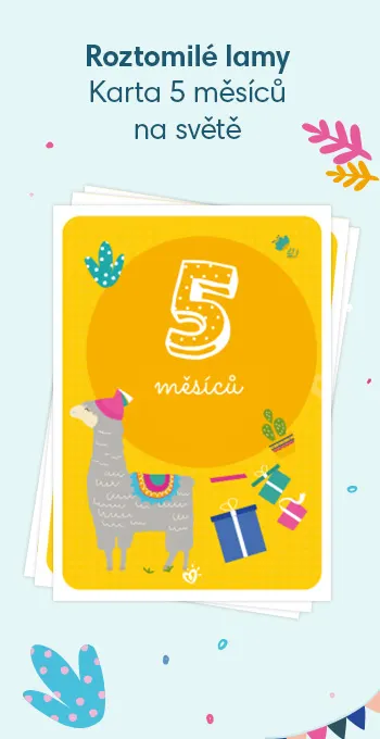 Tištěné karty na oslavu 5 měsíců od narození vašeho děťátka! Zdobí je veselé motivy, včetně roztomilé lamy a nápisu: 5 měsíců na světě!