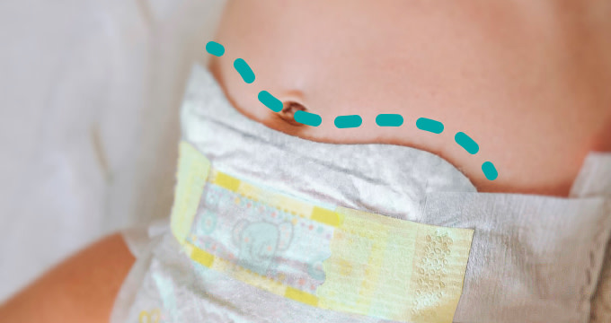 NAVEL-FRIENDLY SHAPE; image desktop
