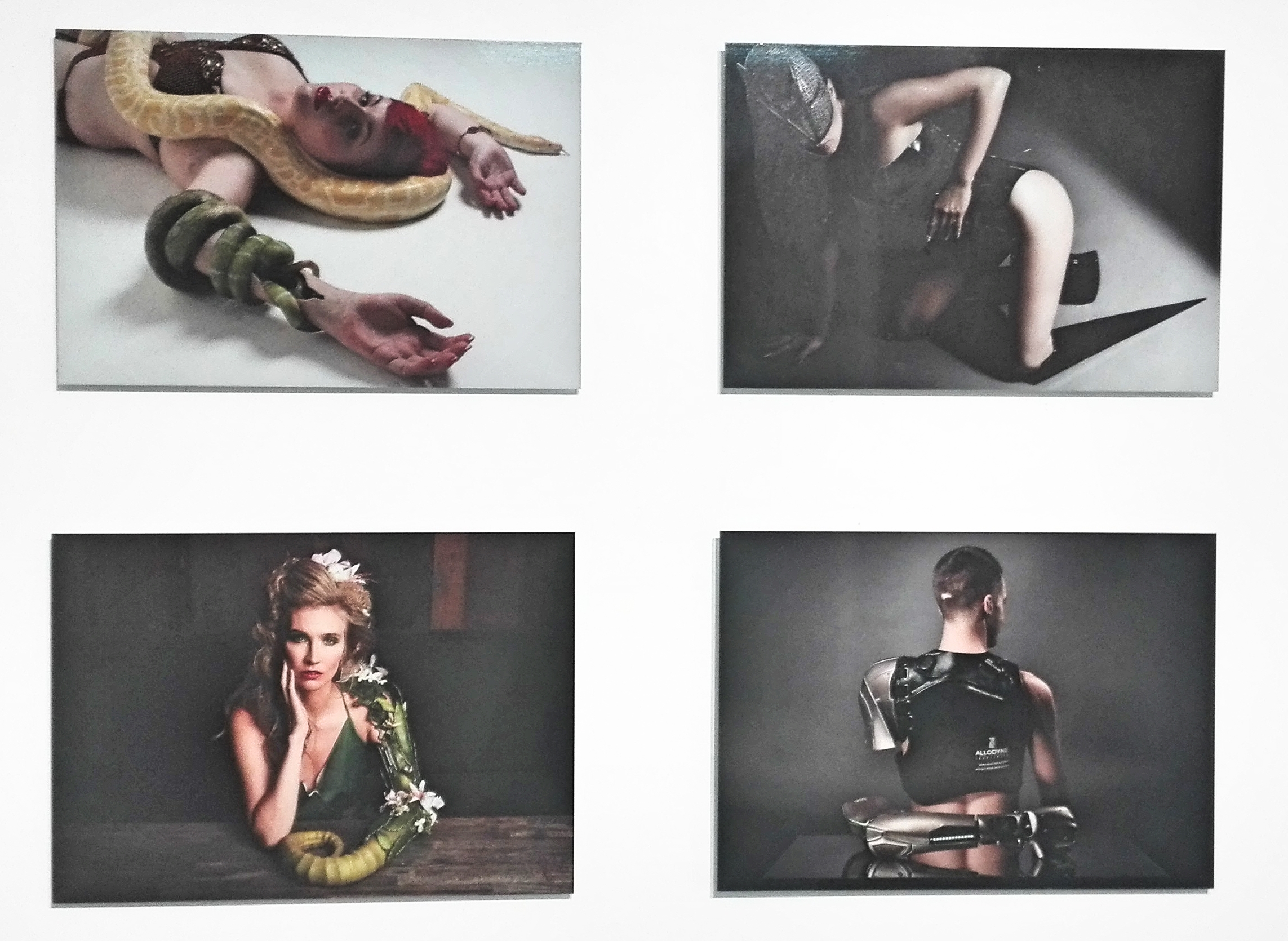 limb project