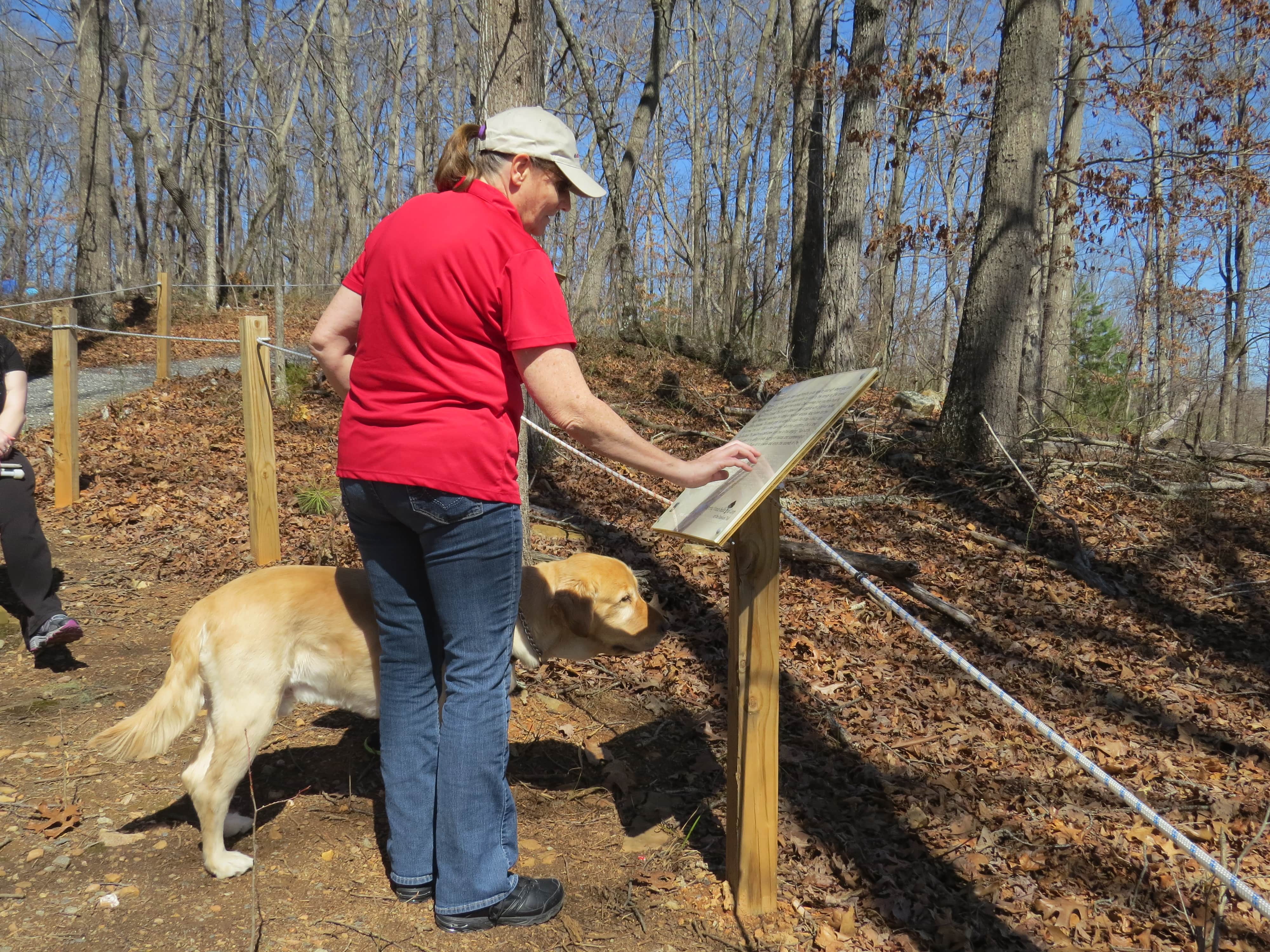 brailletrail