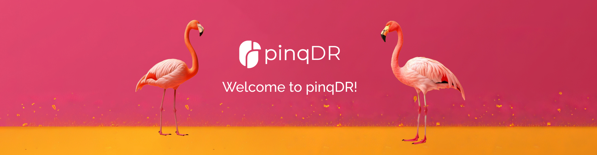 Welcome to the pinqDR project