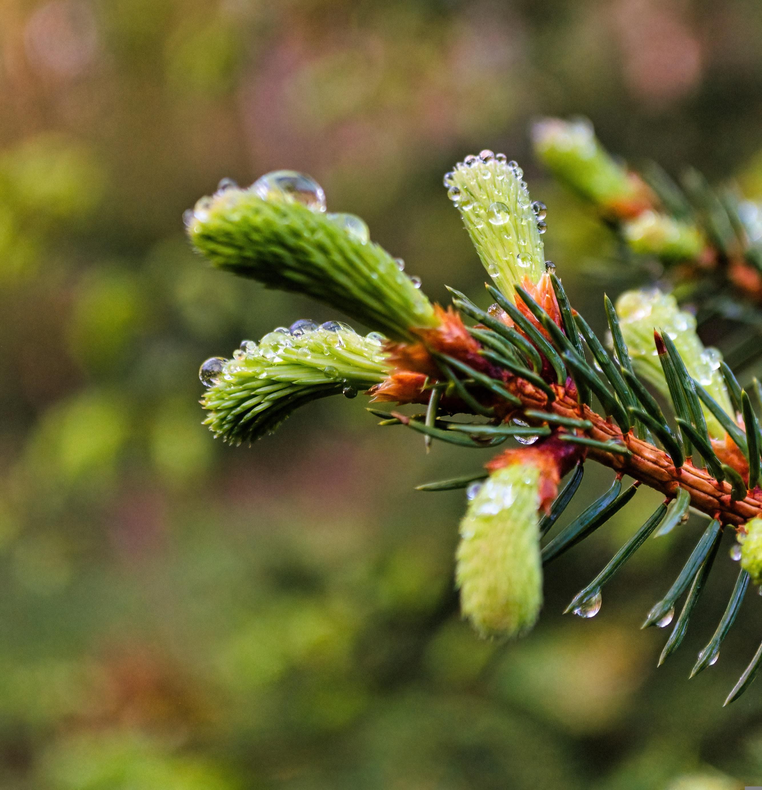 Cover Image for Jouduin toden teolla kohtaamaan sen brutaalin todellisuuden, että minulta on nuorena ihmisenä leikattu useita täysin terveitä elimiä täysin turhaan.