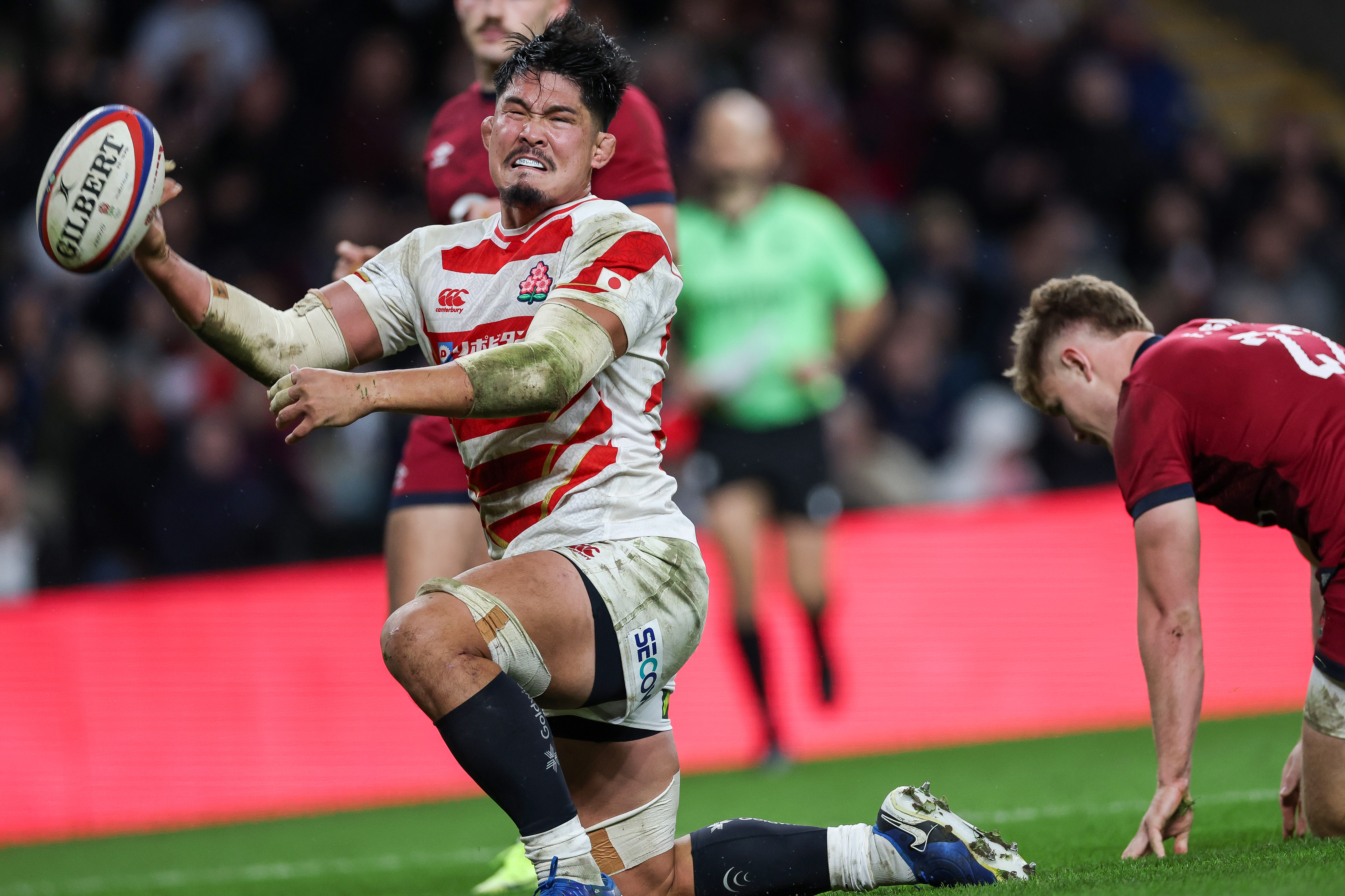 カンタベリー　シックスネーションズ Match England 59 v Japan 14 - 24/11/2024 - Quilter Nations