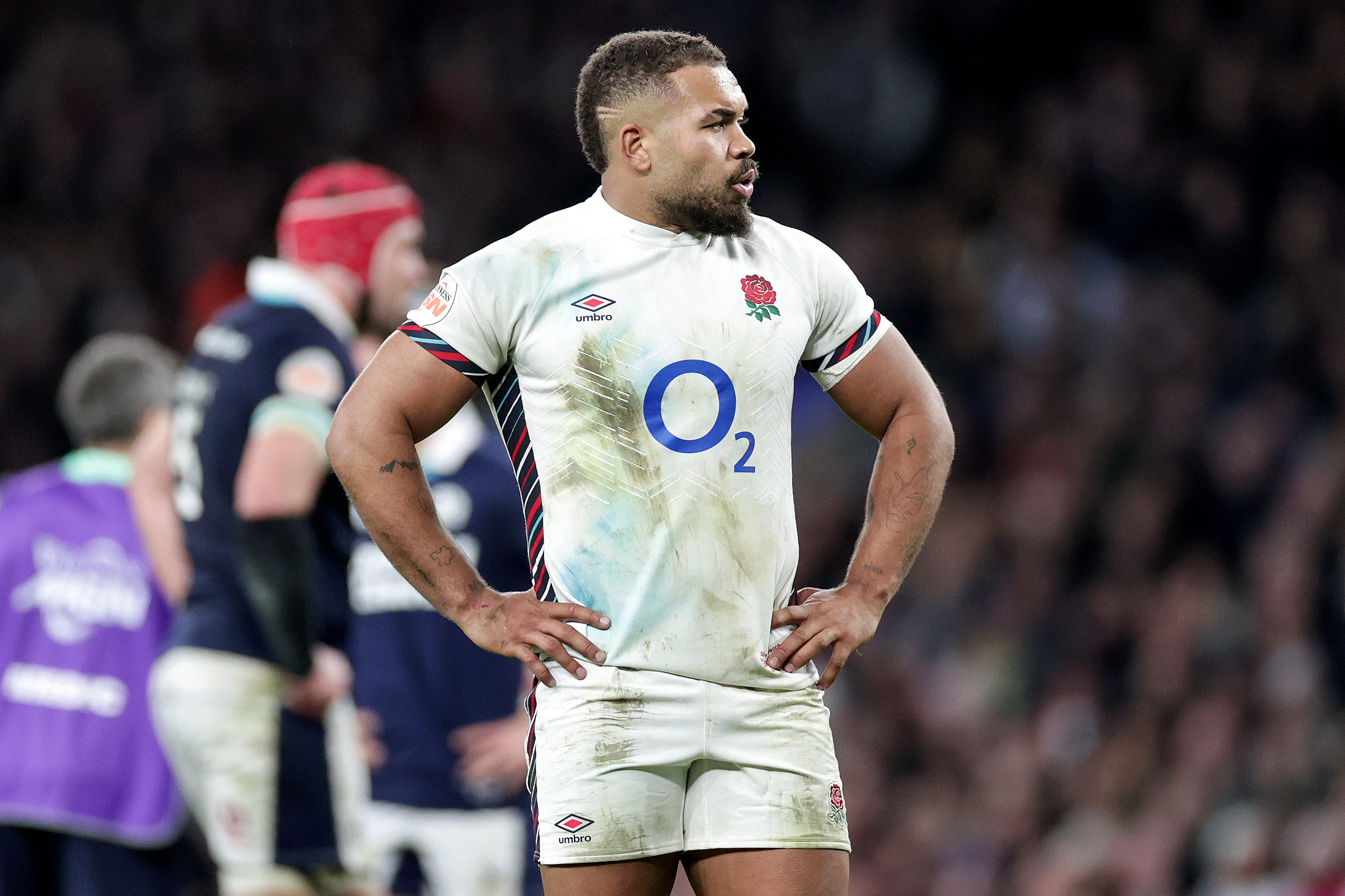Lawrence Rugby Henry Pollock - England - Guinness Men's Six Nations