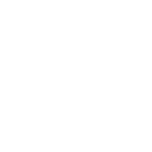 New Union Logo - Japan Reverse