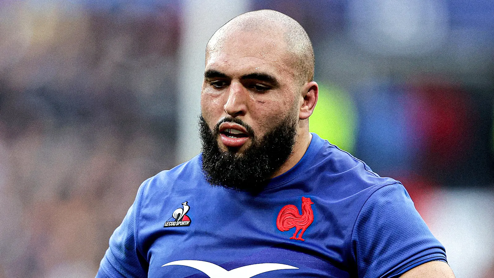 Reda Wardi