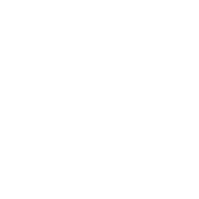 Wales Crest Reversed