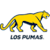 New Union Logo - Argentina Colour