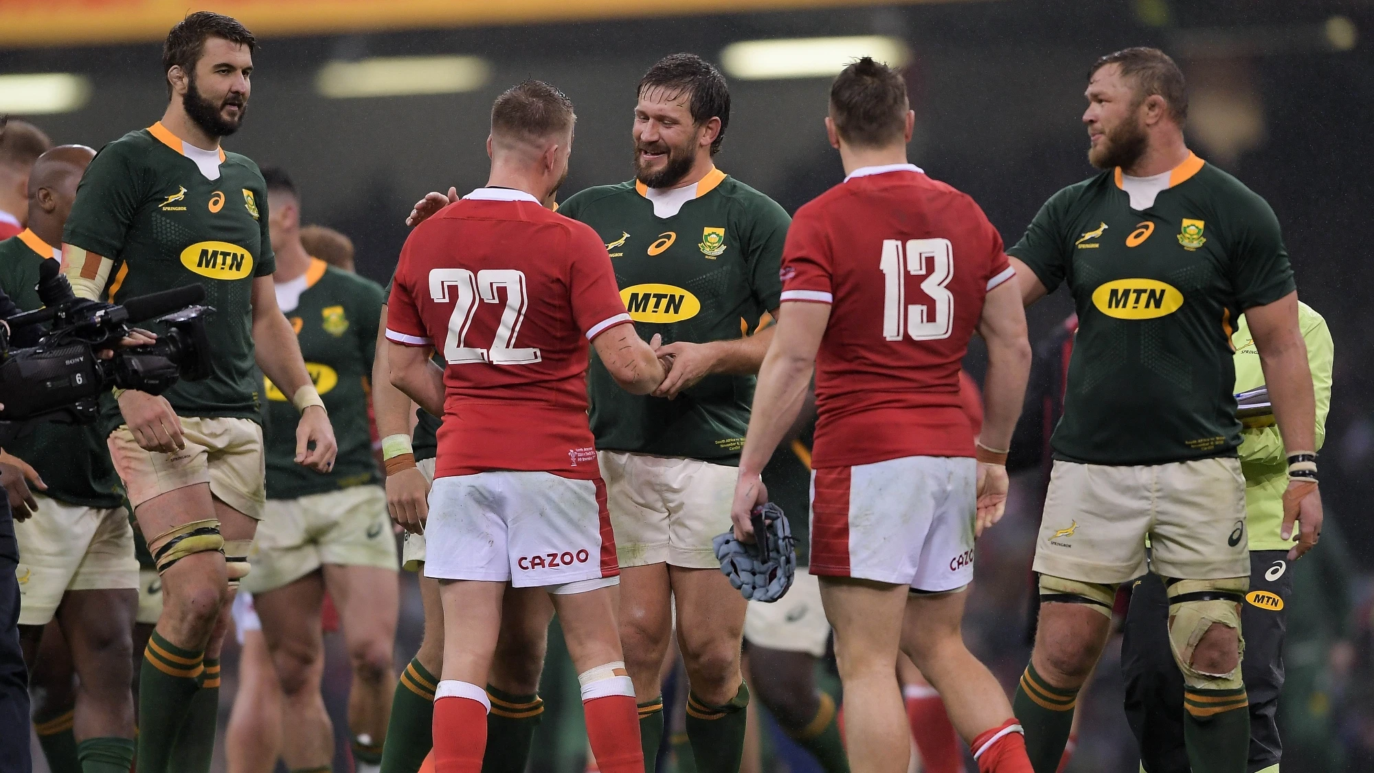 Wales v South Africa