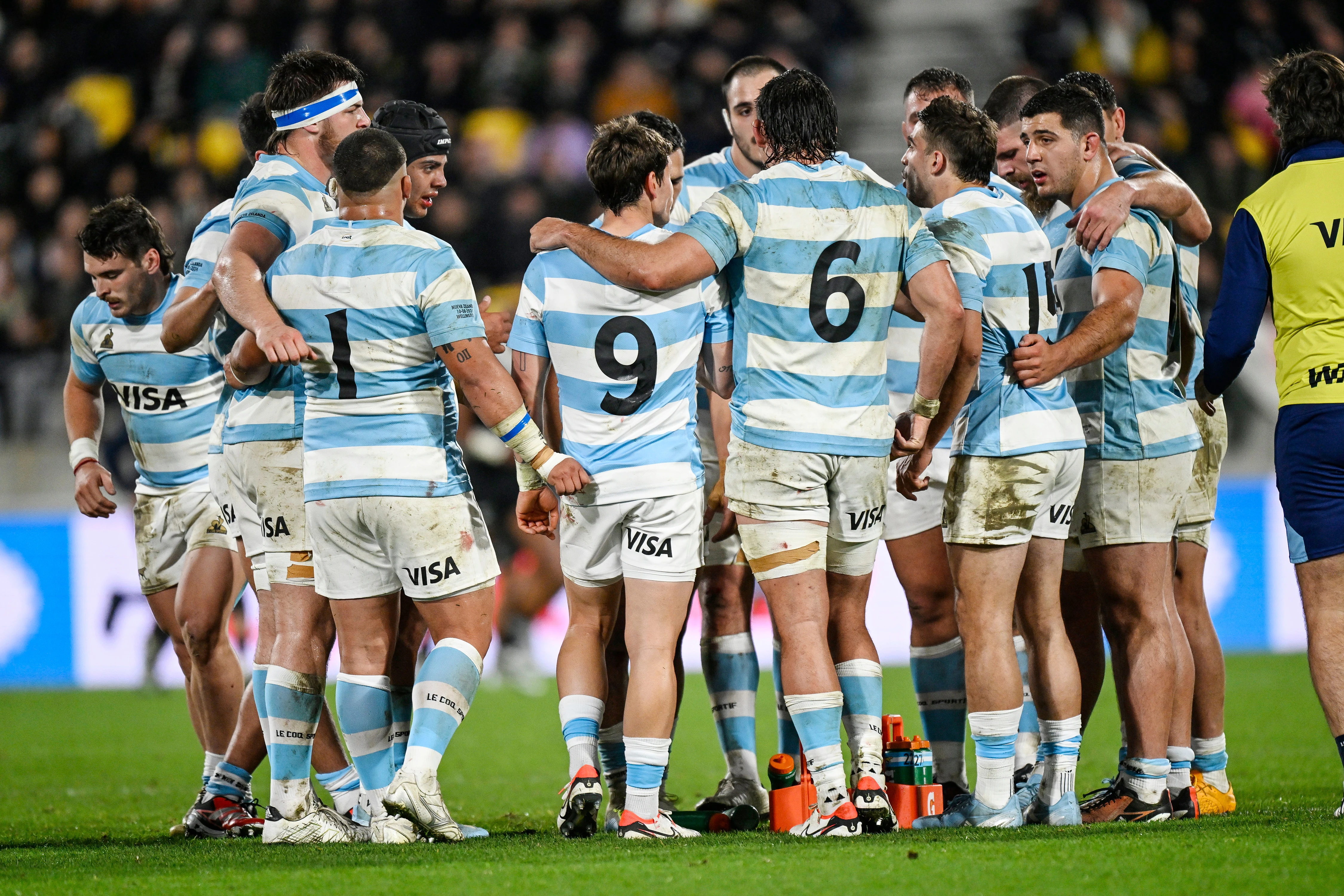 Los Pumas