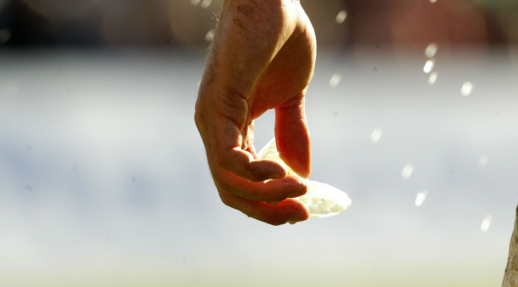 'Smart mouthguards' paint clearer picture for World Rugby - Guinness ...