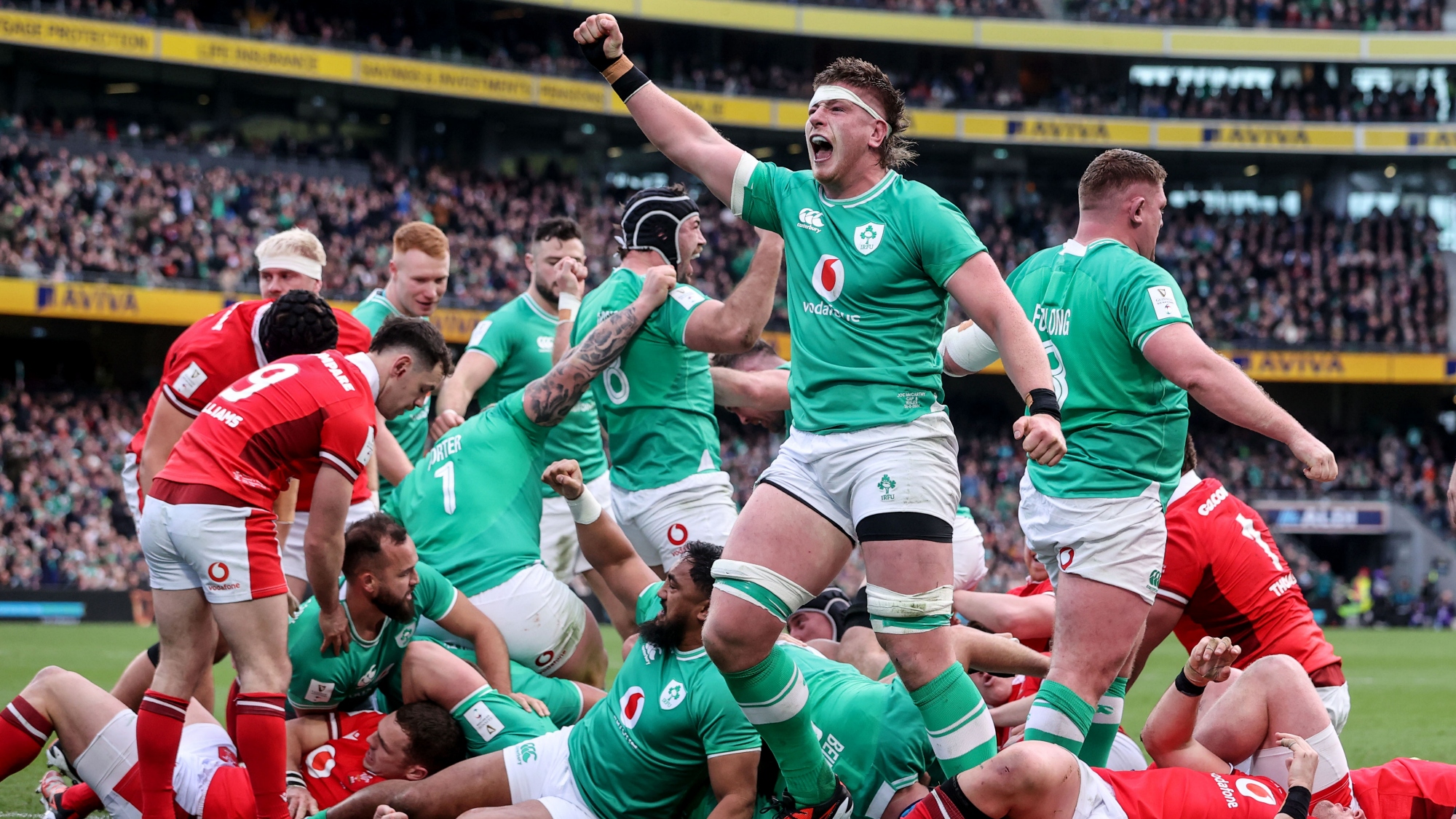 Joe McCarthy celebrates against Wales