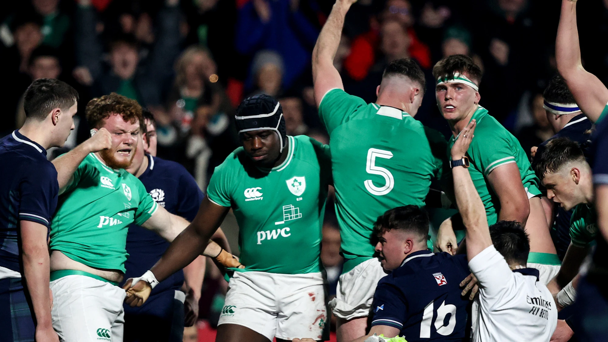 Ireland celebrate