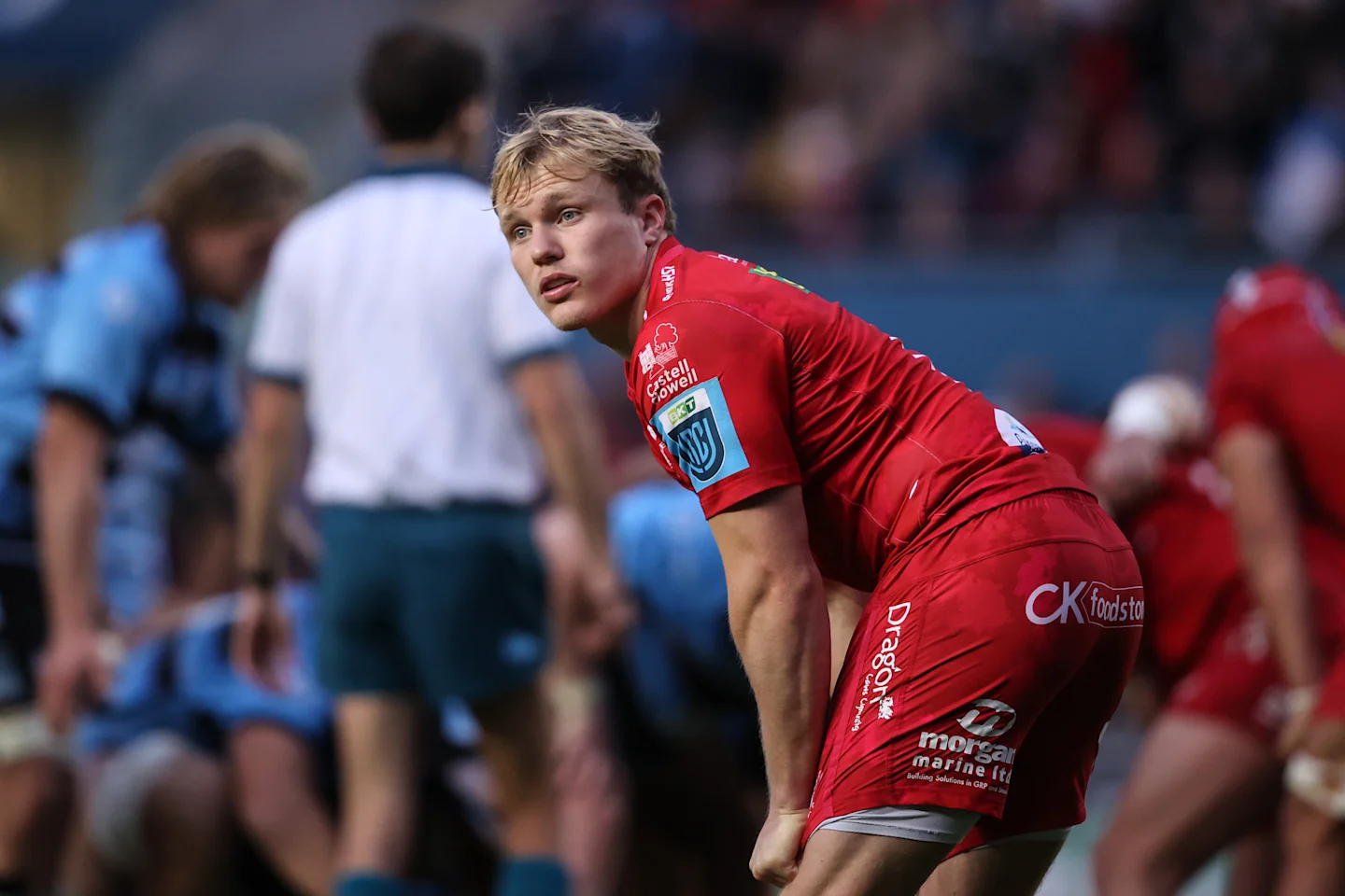 Blair Murray to make Test debut in Wales v Fiji | Autumn - Autumn ...