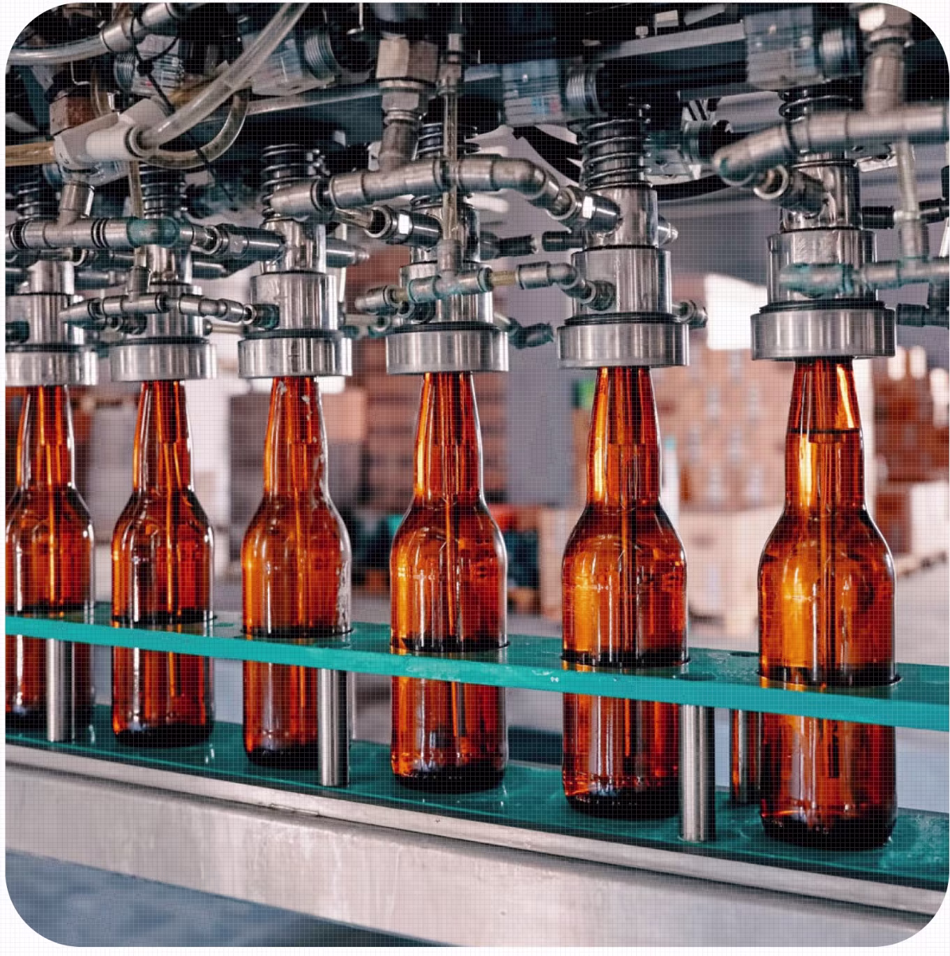 Image of bottles in a bottling machine