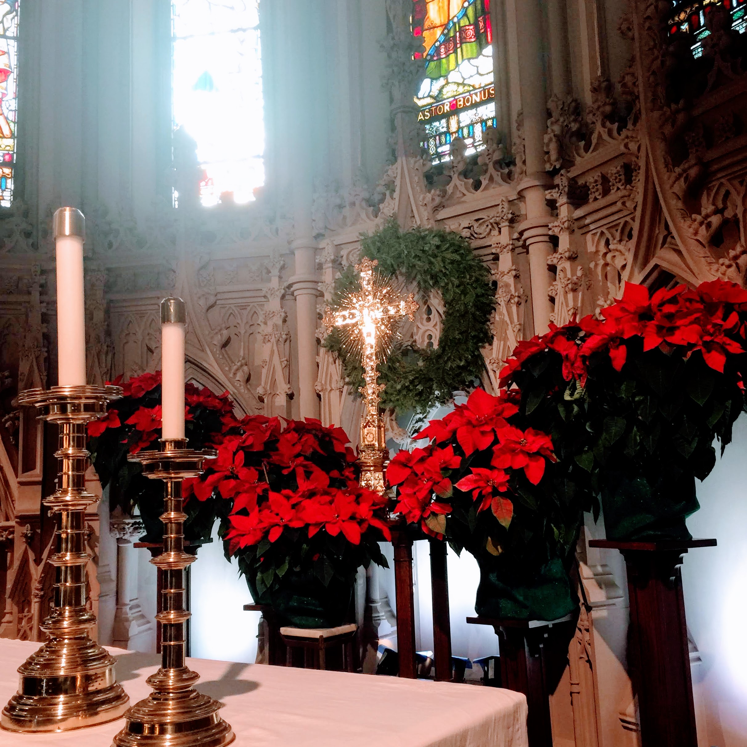An image of the Cathedral Altar decorated with poinsettias