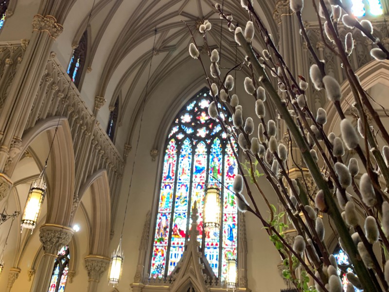 An image of the cathedral stained glass windows with an arrangement of willow branches. 