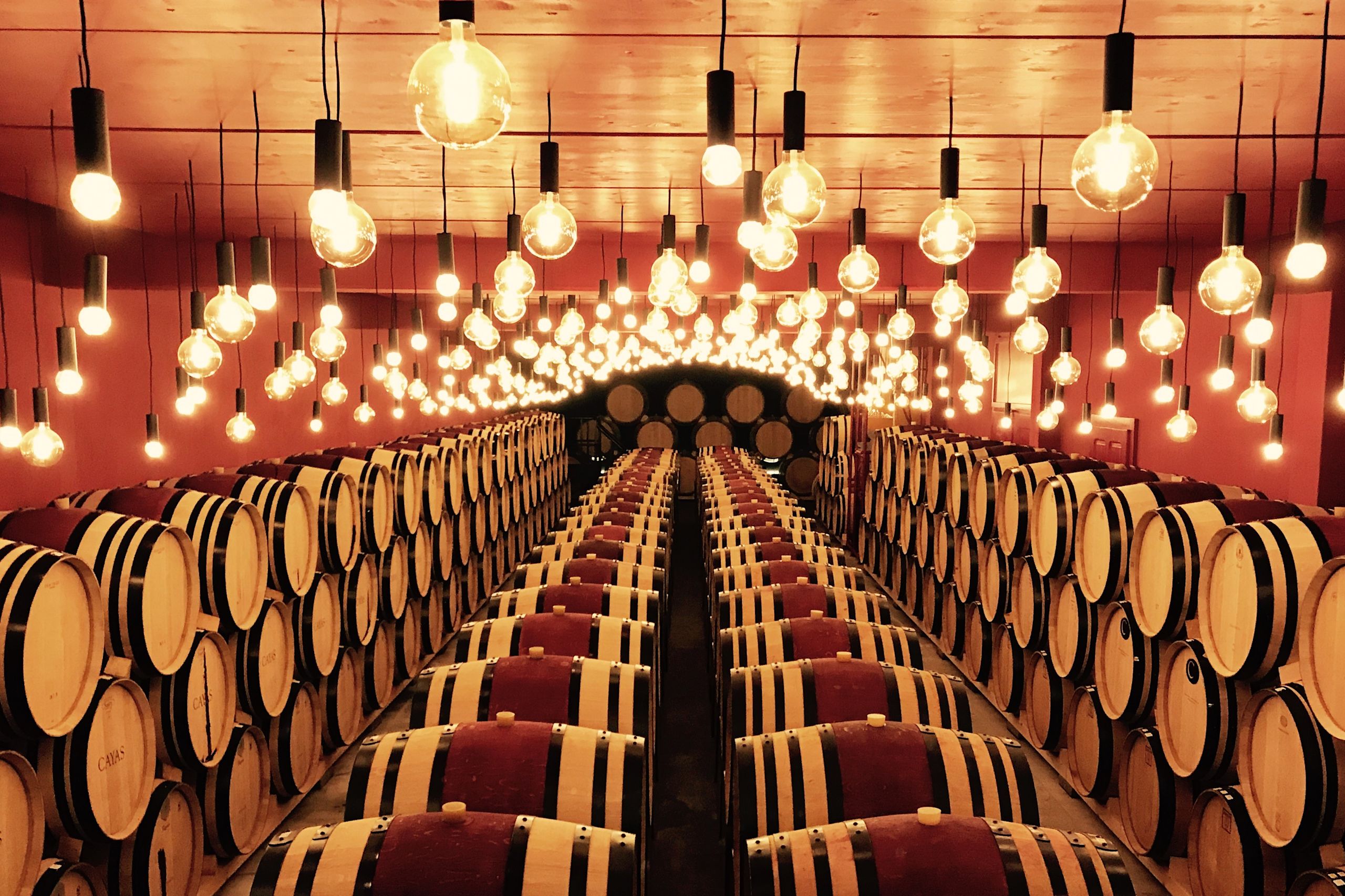 Discover the Jean-René Germanier cellar | Valais Switzerland