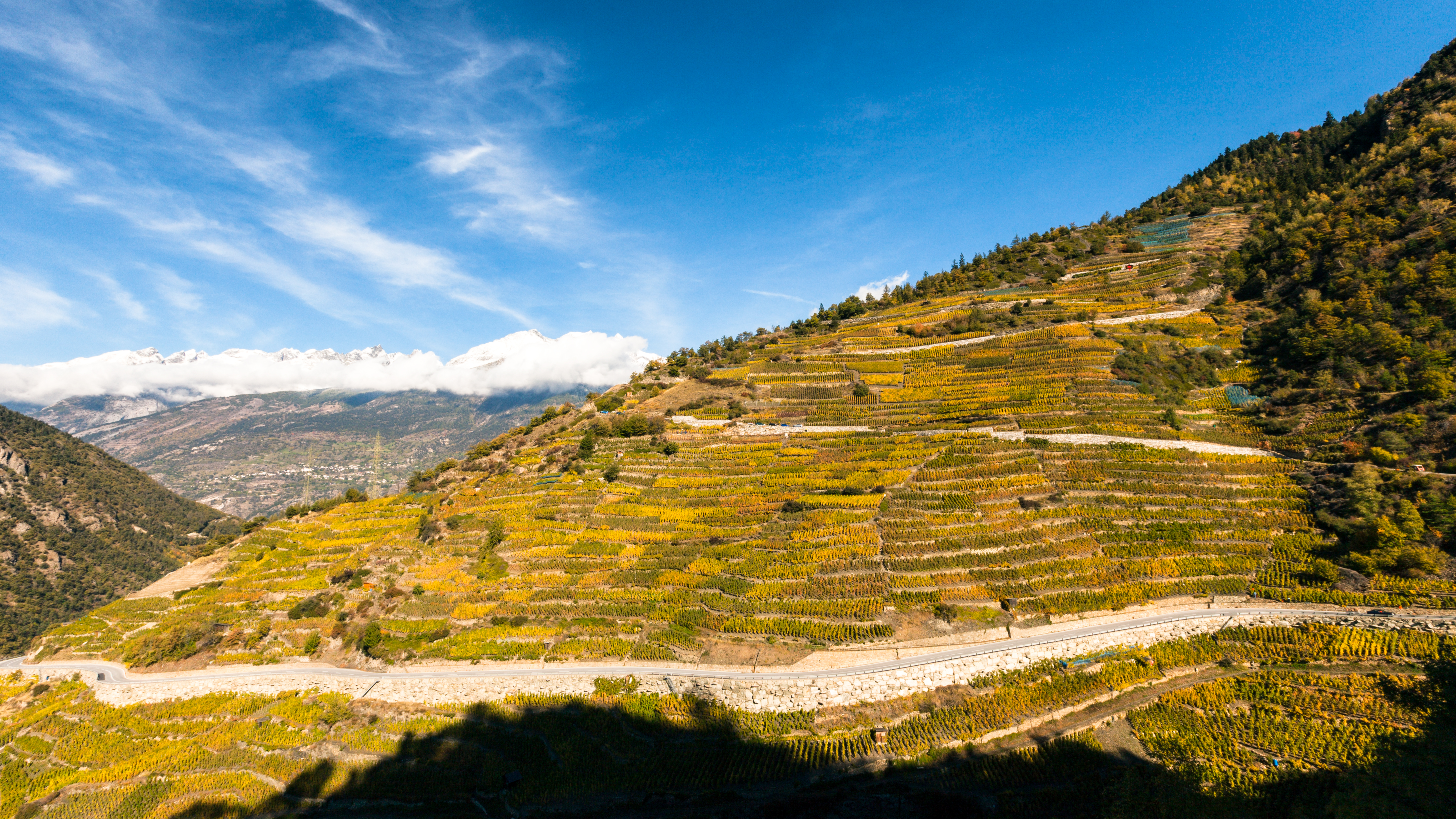 Weinberg Visperterminen, Wallis
