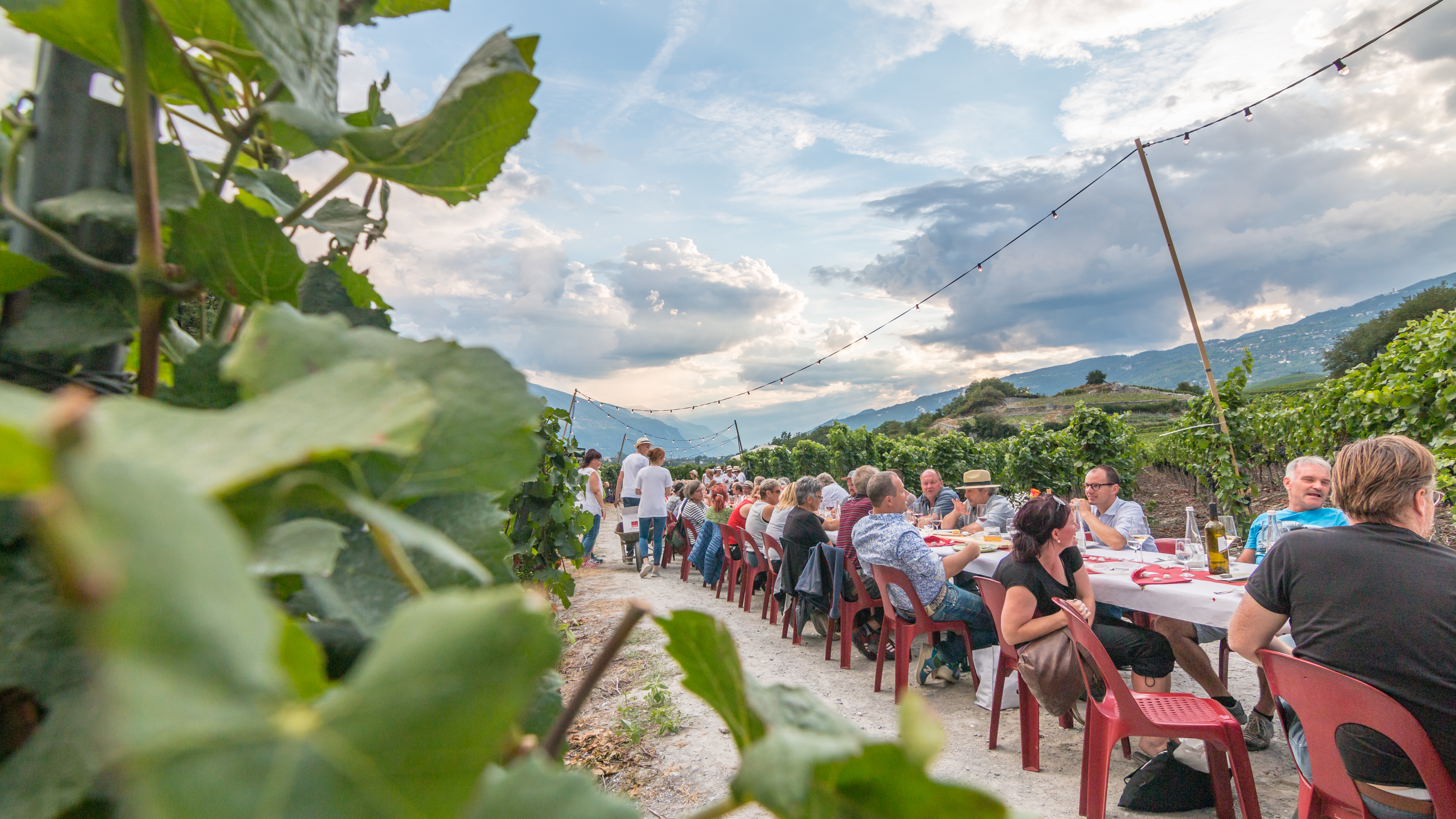 kulinarischen und genussvollen Abend mitten in der Reblandschaft des Naturparks Pfyn-Finges