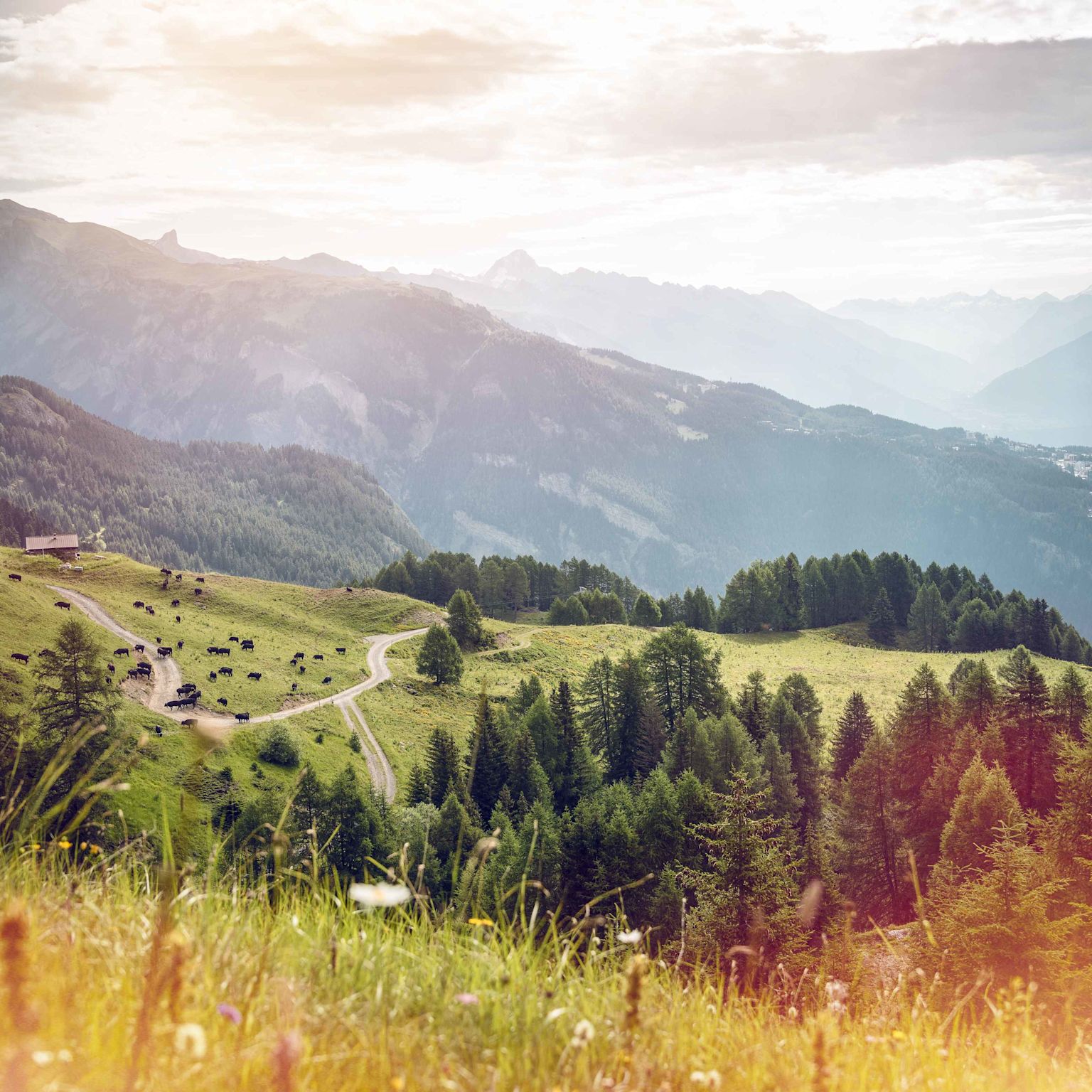 Alphütten, Anzere, Wallis, Schweiz